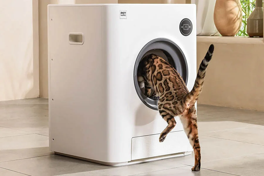 electronic litter box